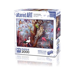 KS Fascınatıng Bırds