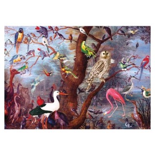 KS Fascınatıng Bırds