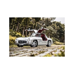 KS 1000 300 SL GULLWING