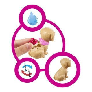 MATTEL Barbie ve Evcil Hayvan Dükkanı Oyun Seti