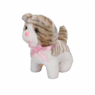 SUNMAN Sevimli Kedicik