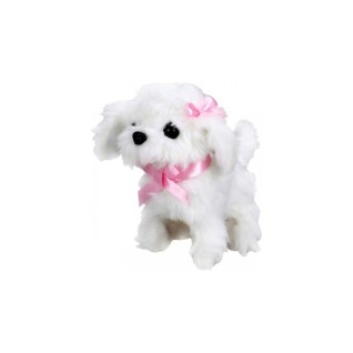 SUNMAN Sevimli Köpek Maltese