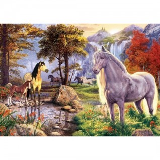 ART PUZZLE Saklı Atlar 1000 Parça Puzzle