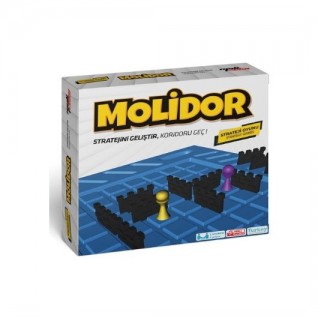 MOLİ TOYS Molidor Eğitici Zeka ve Strateji Oyunu